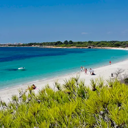 Isla De Cabrera Hotel Colonia de Sant Jordi