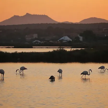 Isla De Cabrera Hotel 3*